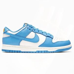 Nike Dunk Low Coast (W)